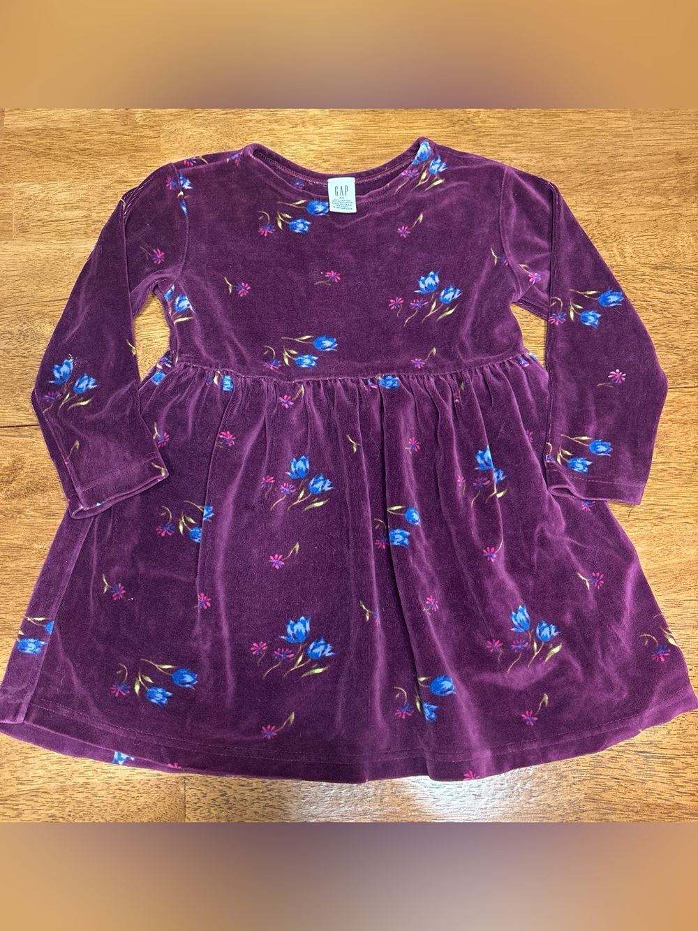 GAP Plum Velour Floral Long-Sleeve Dress with Blue Flowers